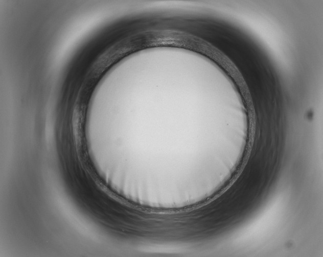 X0000116601438201001221248