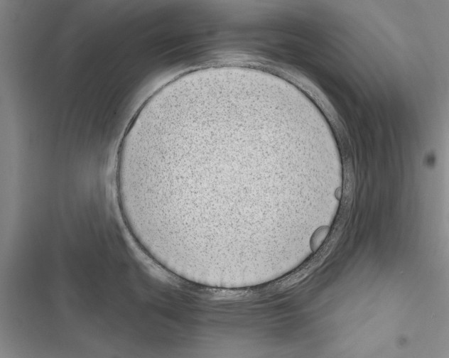 X0000116601439201001221248