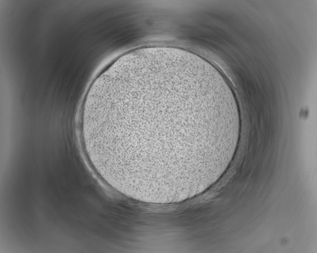 X0000116601440201001221248