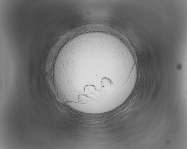 X0000116601441201001221248