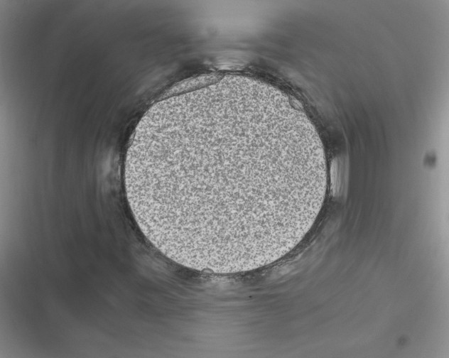 X0000116601443201001221248