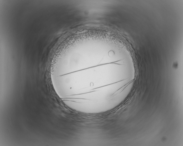X0000116601445201001221248