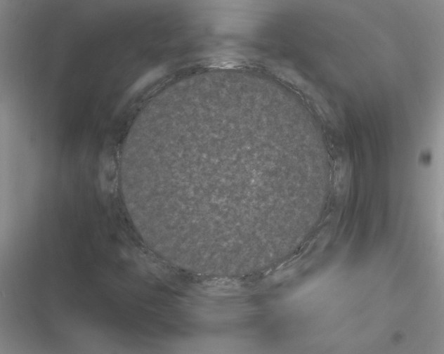 X0000116601446201001221248