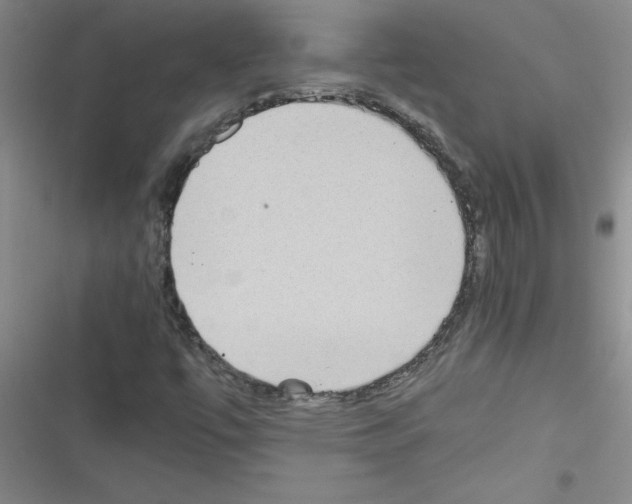 X0000116601447201001221248