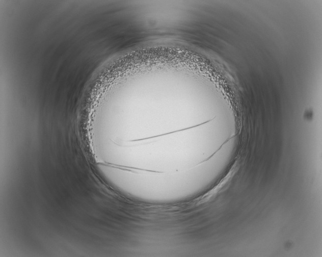 X0000116601449201001221248