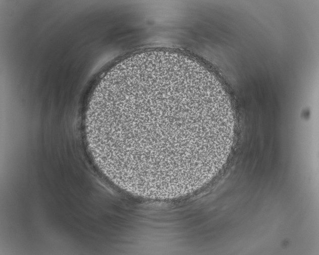 X0000116601450201001221248