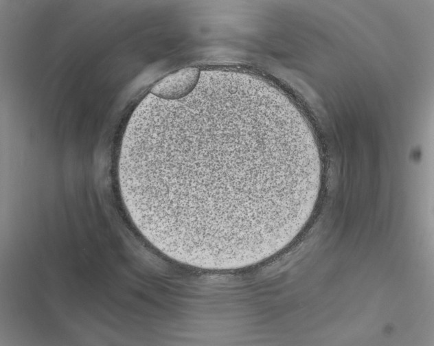 X0000116601451201001221248