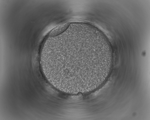 X0000116601453201001221248