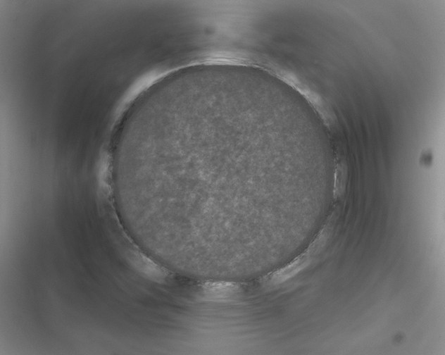 X0000116601454201001221248
