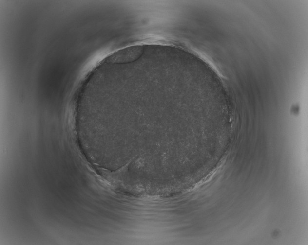 X0000116601455201001221248
