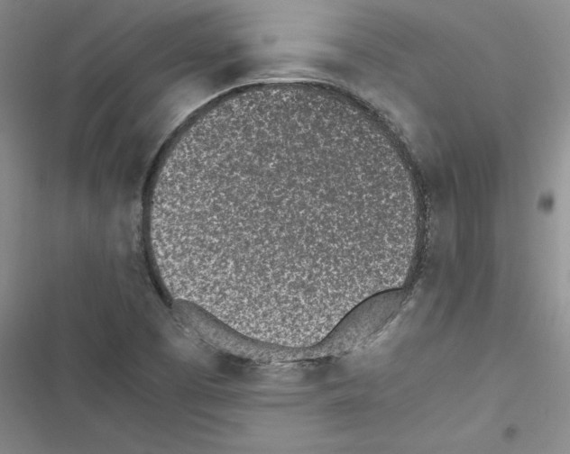 X0000116601457201001221248