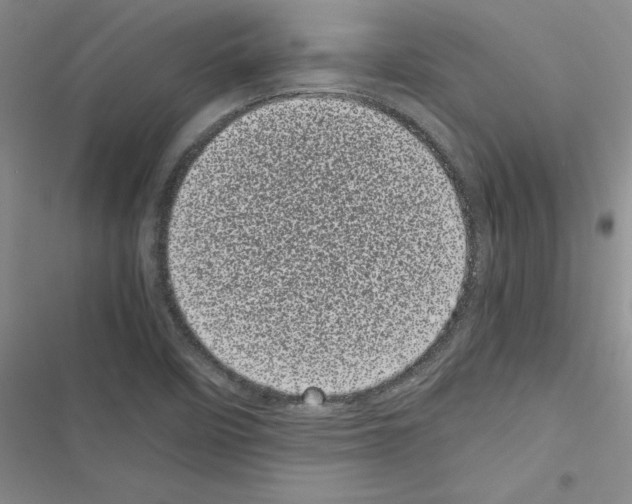 X0000116601458201001221248