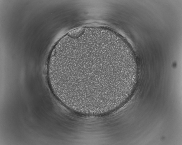 X0000116601459201001221247