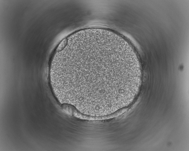 X0000116601461201001221247