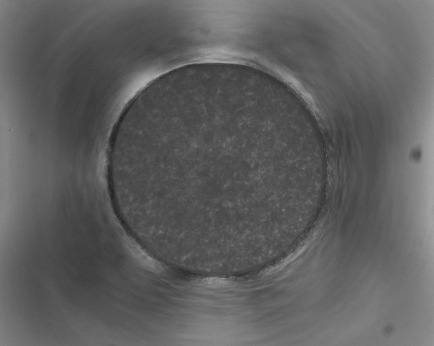 X0000116601463201001221247