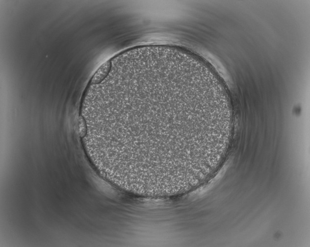 X0000116601465201001221247