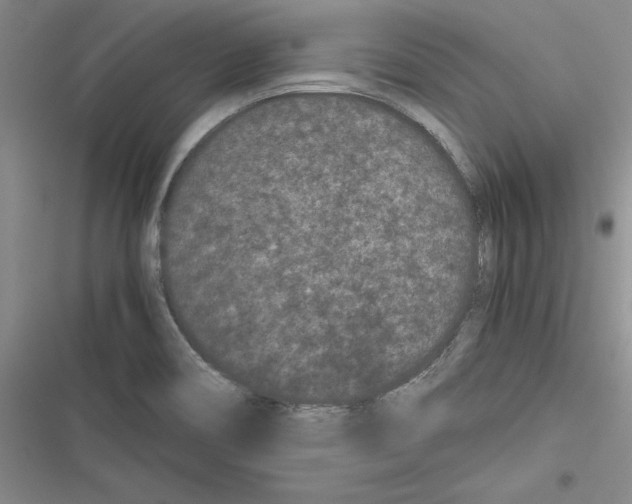 X0000116601466201001221247