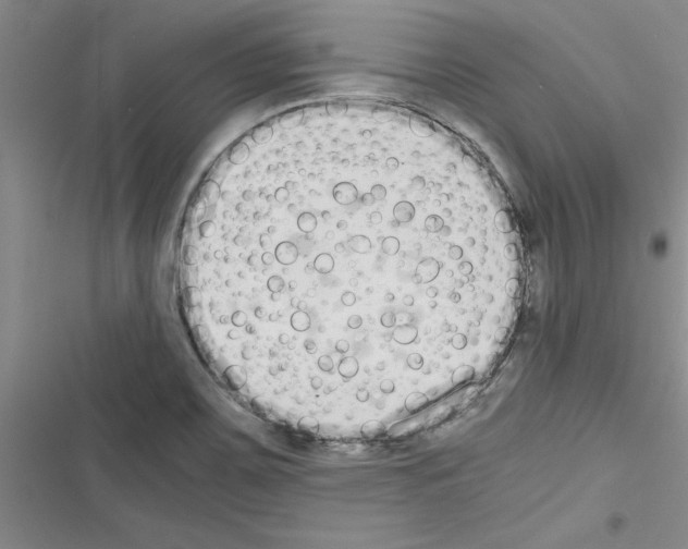 X0000116601467201001221247