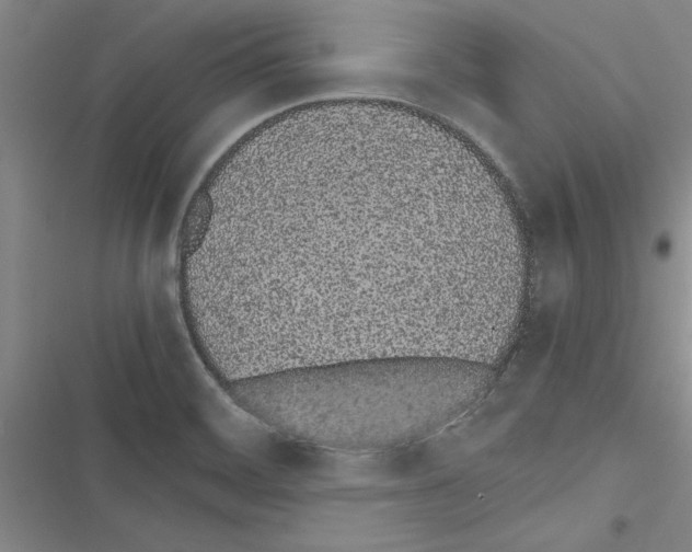 X0000116601468201001221247