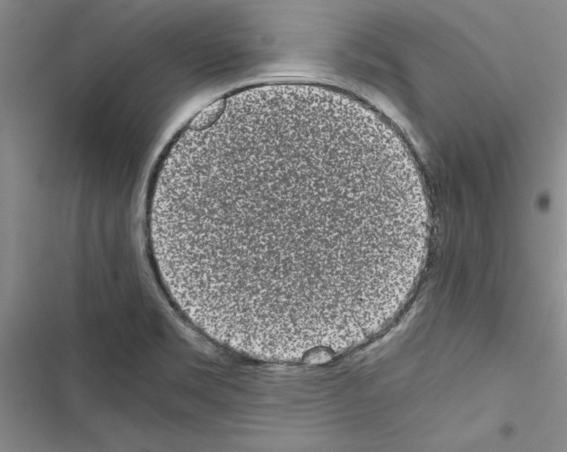 X0000116601469201001221247