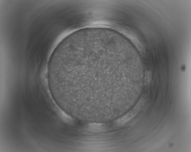 X0000116601470201001221247