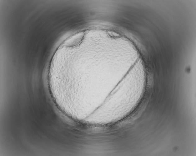 X0000116601471201001221247