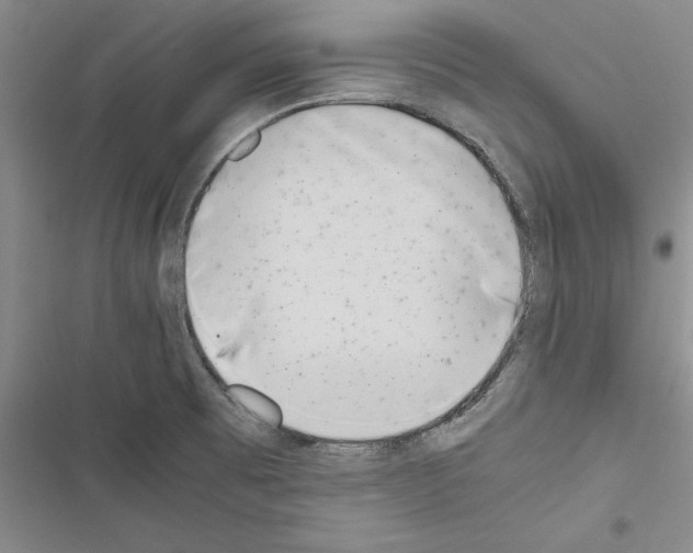 X0000116601473201001221247