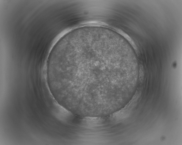X0000116601474201001221247