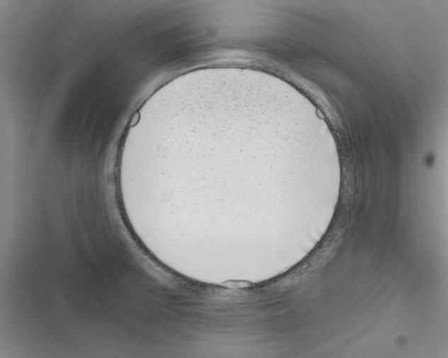 X0000116601475201001221247