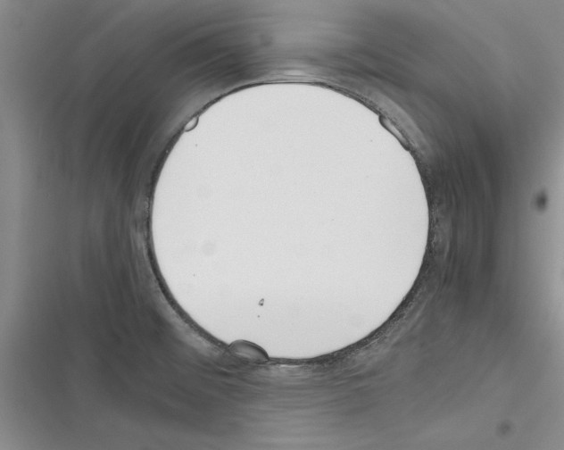 X0000116601476201001221247