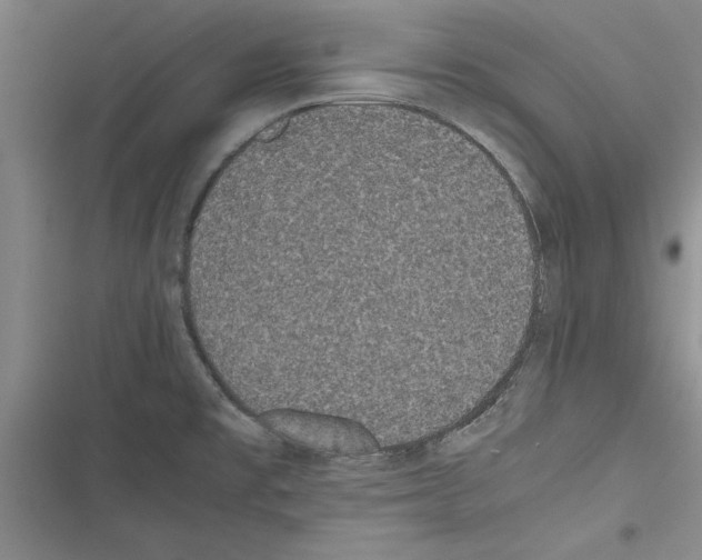 X0000116601477201001221247