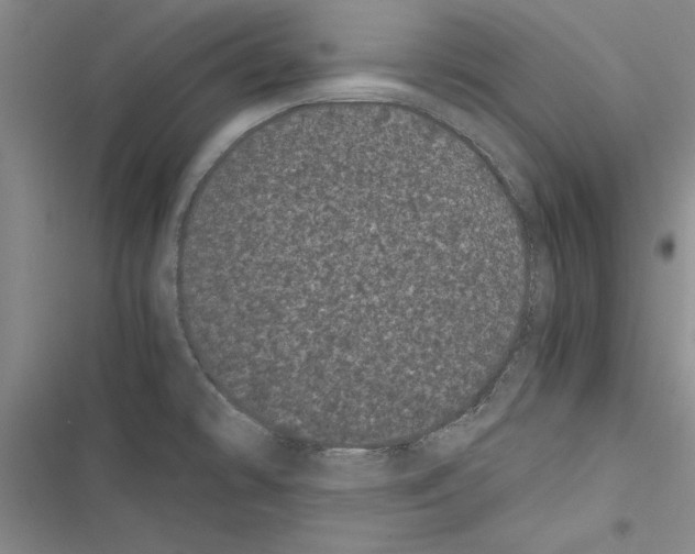 X0000116601478201001221247