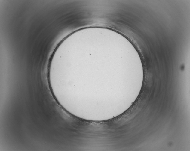 X0000116601480201001221247
