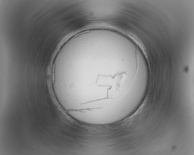 X0000116601481201001221247