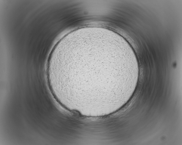 X0000116601482201001221247