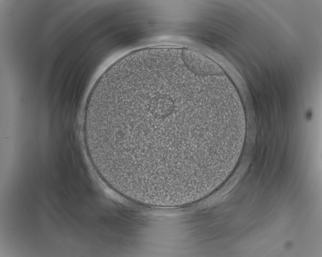 X0000116601486201001221247