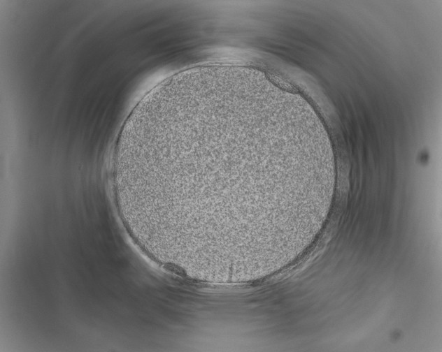 X0000116601487201001221247