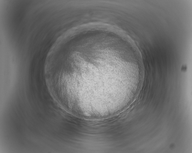 X0000116601489201001221246