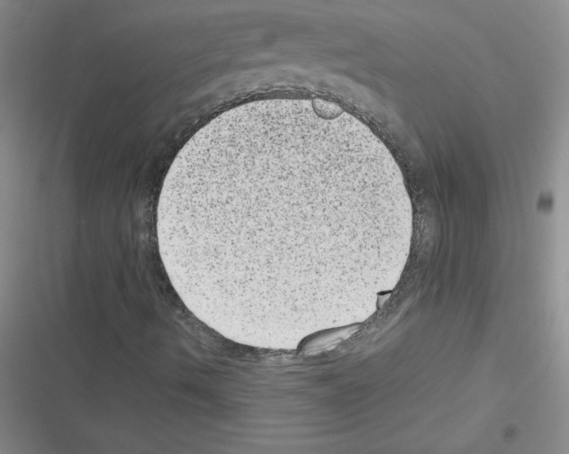 X0000116601490201001221246
