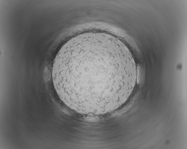 X0000116601491201001221246