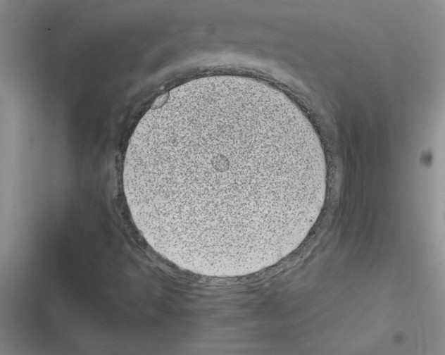 X0000116601493201001221246