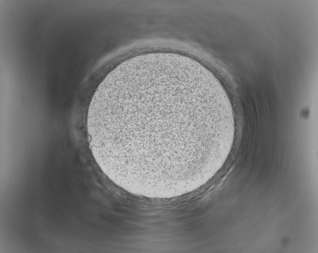 X0000116601494201001221247