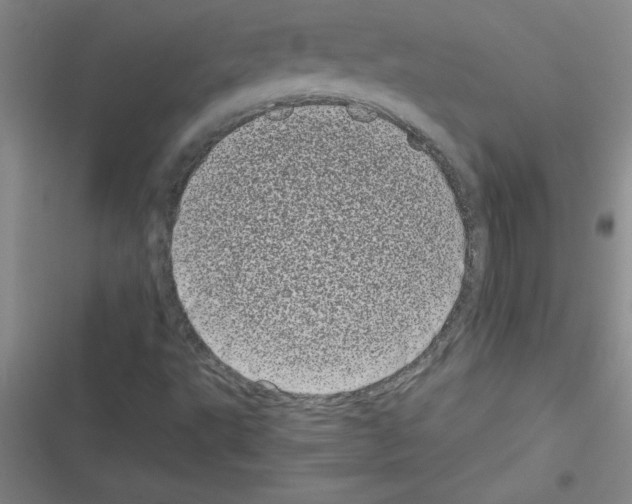 X0000116601495201001221247