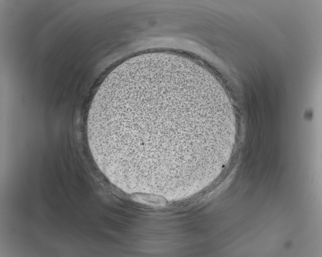 X0000116601497201001221247