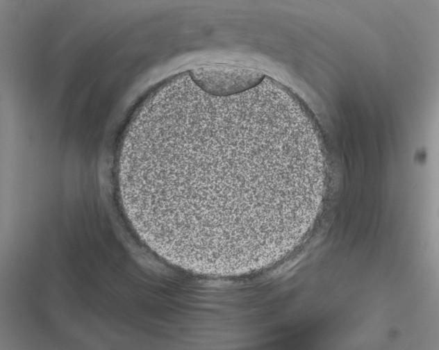 X0000116601499201001221247