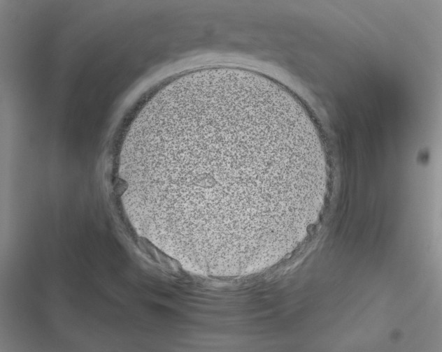 X0000116601503201001221247