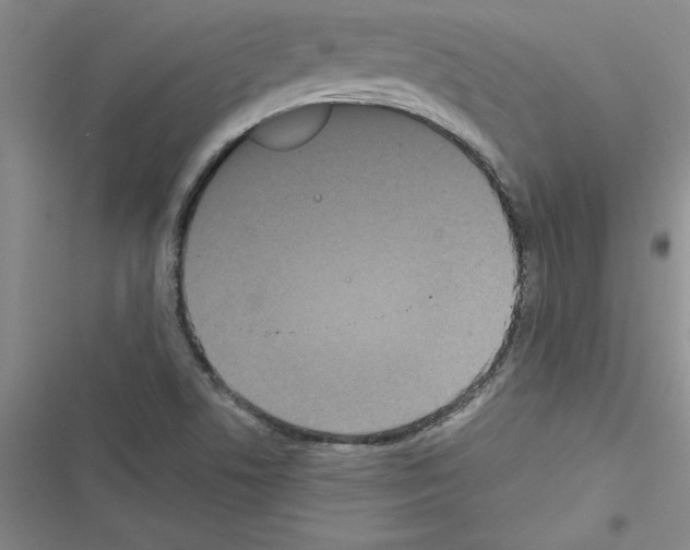 X0000116601506201001221247