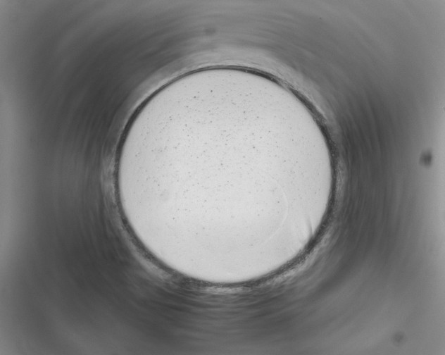 X0000116601513201001221247