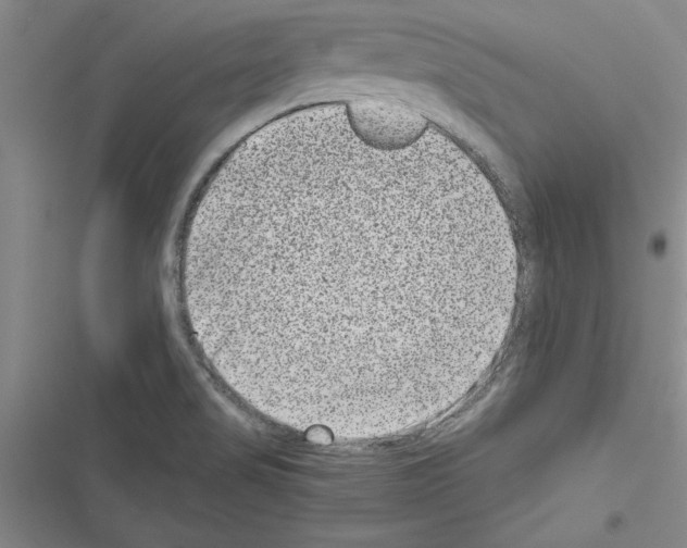 X0000116601517201001221247
