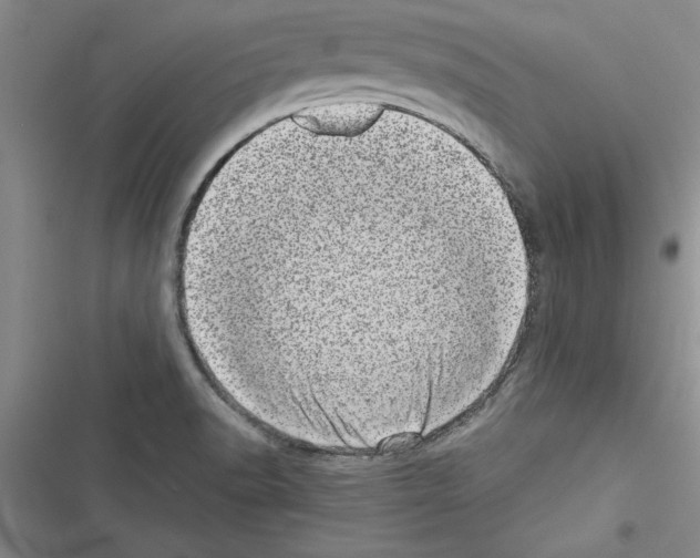 X0000116601518201001221247